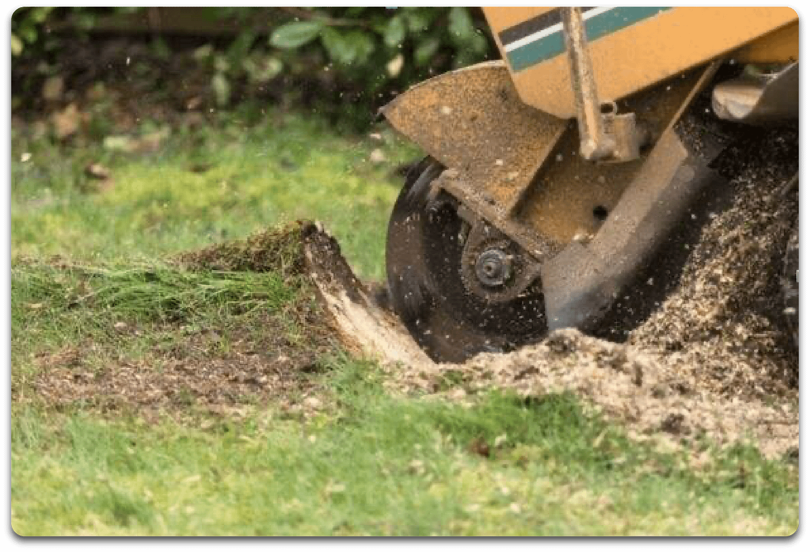 Stump Grinding in NJ@2x